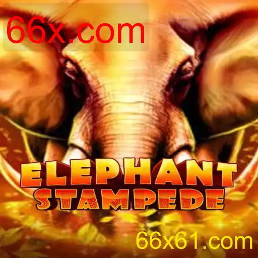 ElephantStampede